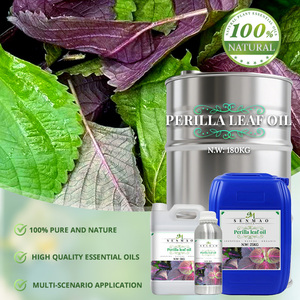 China Supplier Plant Skincare Aromatherapy <b>Essential</b> <b>Oils</b> 100% Pure and Natural Perilla Leaf <b>Oil</b> with Good Packaging - Product Image 5
