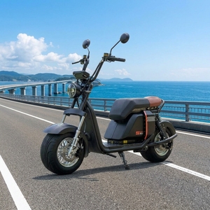 Scooter Eléctrico de Dos Ruedas, 1000w, 20ah, Batería de Litio, Aluminio, Resistente al Agua, Neumáticos Anchos, Modelo SS701, Motor Potente de 1000w, Gran Venta en Brasil - Product Image 1
