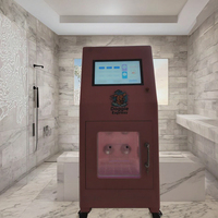 Laveuse automatique pour animaux de compagnie, bain à l'hydrogène, nettoyeur et sécheur de pattes de chien, machine de toilettage en acier galvanisé et inoxydable, modèle fermé