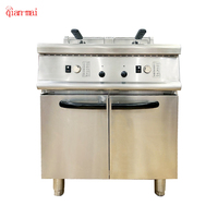 Fabricant d'équipements de cuisine professionnels, friteuses à gaz à double réservoir, friteuse en acier inoxydable avec un cabinet