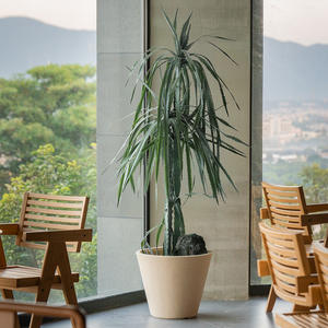 <span class=keywords><strong>Maceta</strong></span> Cónica Minimalista Grande para Exteriores, de Óxido de Magnesio y Arcilla, para Jardín o Uso Doméstico, Ecológica - Product Image 1