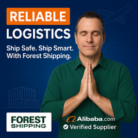 Services Logistiques de Transitaire Aérien Express et Agent de Dropshipping pour Amazon 1688 Shein E-commerce Expédition depuis la Chine
