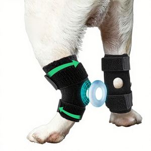 Attelle de Genou pour Chien, Protection des Ligaments ACL, Soutien à la Rééducation, Haute Élasticité, Anti-Collision, en Fibre - Product Image 4