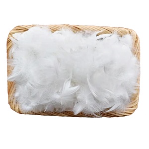 MH Factory 2-4cm or 4-6cm Washed white goose or duck feathers