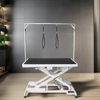 Table de toilettage pour animaux de compagnie Petsproofing, design original, multifonctionnelle, en acier inoxydable, électrique, pour chiens et chats