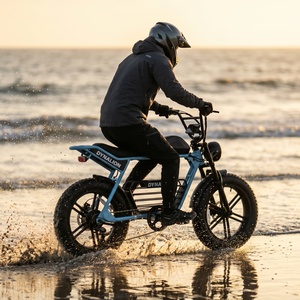 Bicicleta Eléctrica de Largo Alcance con Llantas Anchas y Batería Extraíble para Desplazamientos Diarios y Regalos - Product Image 5