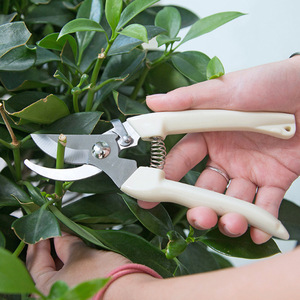Premium <b>Pruning</b> Shears Stainless Steel 10-20 Mm Manual For Fruit <b>Trees</b> Elbow Butterfly Design Gray Right Hand - Product Image 2