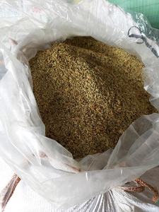 Sophora Japonica Schott-Producto agrícola de flores secas Sophora Japonica - Product Image 4