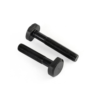 Factory Outlet Carbon Steel Black Oxide <strong>T</strong> Slot Stainless Steel <strong>T</strong> <strong>Bolt</strong> - Product Image 1