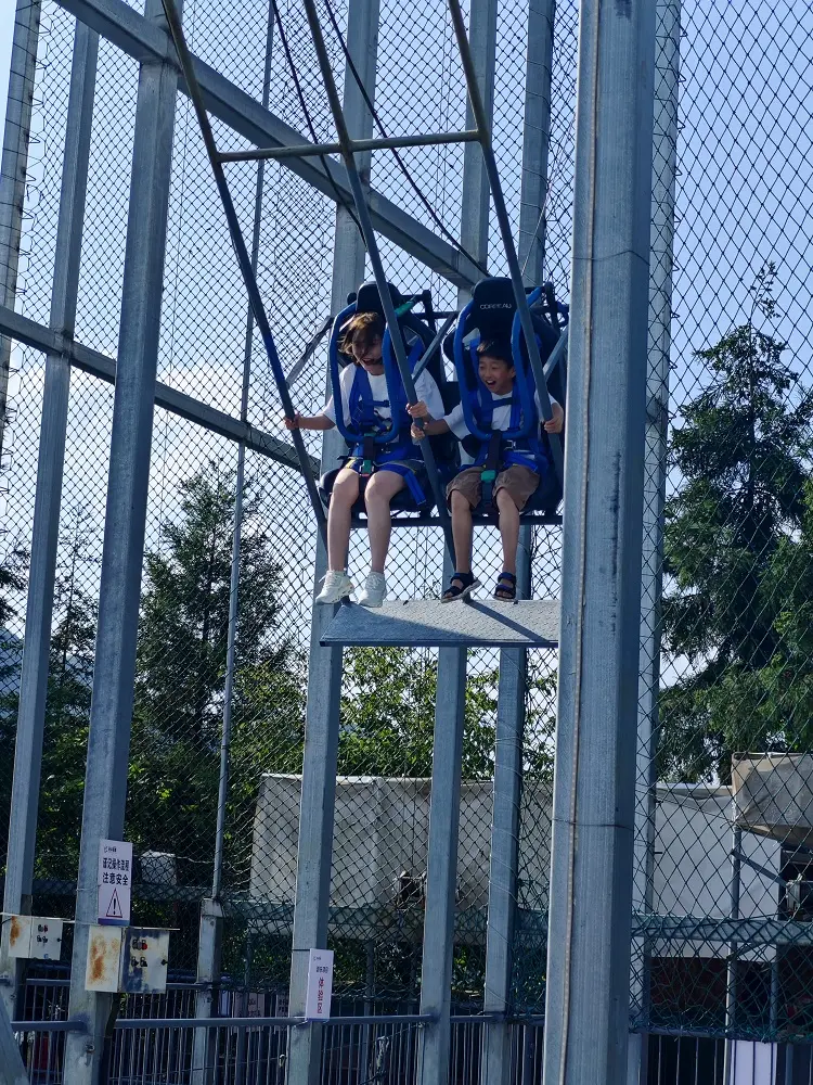 Hiburan perjalanan liburan sempurna menarik cliff swing ride untuk dijual