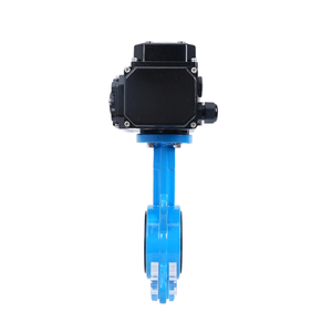 Actionneur de type Pn16 Cf8 pour l'eau, l'air, les aliments et l'électricité - Product Image 5
