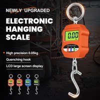 Balance de grue HKLP 300 kg avec affichage LED, personnalisable, en ABS, balance de poche numérique LCD, contrôleur de poids, balance d'essieu, OEM