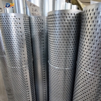 Bobine de métal perforé en acier inoxydable, rouleau de tôle perforée pour filtre industriel et décoration