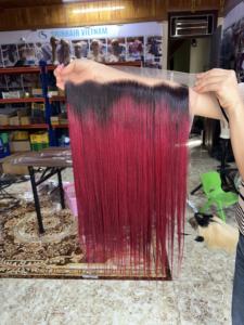 Extensions de cheveux vierges humains vietnamiens, cheveux noirs naturels à double trame pour salon, OEM et approvisionnement en vrac - Product Image 2