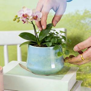 Maceta de Cerámica Esmaltada para Suculentas, Estilo Nórdico Minimalista y Creativo, Ecológica, Duradera, para Uso en Interiores, con Acabado Iridiscente - Product Image 2