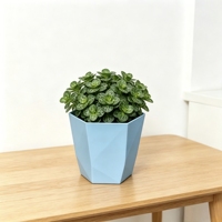 Pot de fleurs en plastique géométrique en forme de diamant, hexagonal, à facettes, pour plantes d'intérieur, pot de fleurs décoratif moderne