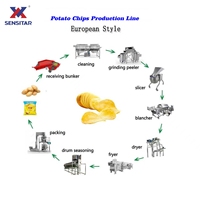 Ligne de production automatique de chips de pommes de terre 100 kg/h-2000 kg/h, machine à faire des chips croustillantes frites pour les usines de snacks