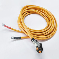 Câble sur mesure pour véhicules électriques à énergie nouvelle, avec âme en cuivre, gaine PVC, IP67, 1000V, longueur 6m, faisceau de câbles pour connexion interne haute tension de véhicule électrique