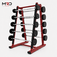 Support de Rangement Commercial pour Barres de Musculation, Type A, 10 Barres, Fixe, Sûr, Stable et Durable, pour Salle de Sport et Club de Fitness