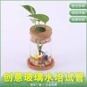 Glass Hydroponic Planter With Bamboo Base And Wooden Stopper For Desktop Green Plant Decoration - Product Image 1