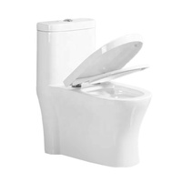 Cuvette de toilette moderne en porcelaine à double chasse pour hôtels Structure monobloc avec siphon en S Drainage WC Toilette