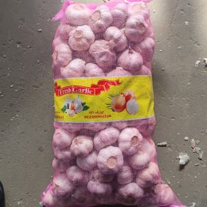 2025, la cantidad al por mayor más vendida, suministro de verduras, <span class=keywords><strong>ajo</strong></span> rojo fresco nutritivo natural del fabricante de origen egipcio - Product Image 2