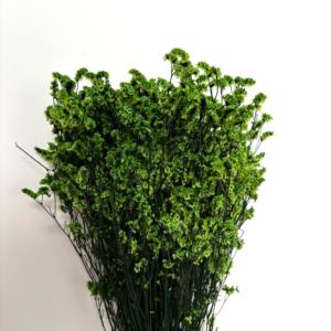 Fourniture <span class=keywords><strong>d</strong></span>'usine : Herbe de cristal stabilisée multicolore, fleur séchée, sans eau, matériau sec pour bouquets de mariage et artisanat en gros - Product Image 3