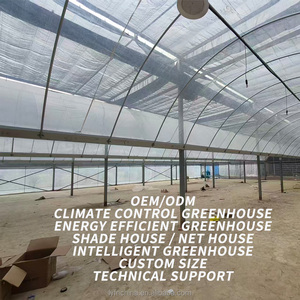 Op maat gemaakte grote commerciële tomatenkas, enkellaags, multi-span, uitgerust met corrosiebestendige, slimme landbouwtechnologie - Product Image 6