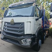 Готов к отправке самосвал HOWO 8x4 371 л.с., 12 колес, 25 куб. м, быстрая доставка для рынка Африки