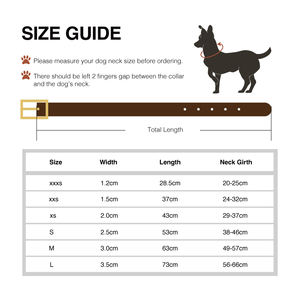 Eavy duty-<span class=keywords><strong>collar</strong></span> de perro con hebilla de cuero genuino, accesorio con logotipo personalizado para Centro Comercial edium ARGE OGS uppy at Itten - Product Image 5