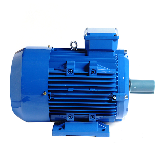 Low Price Three-Phase 1500 RPM 3 kW 380V IP55 Protection Cast Iron Housing IE1 Efficiency Electric AC Motor for Industrial Use
