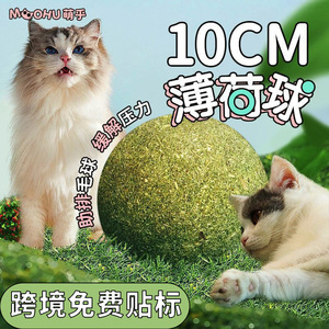 Jouet boule à la catnip 10cm pour le nettoyage des dents des chats, jouets à mâcher - Product Image 2