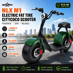 สกู๊ตเตอร์ไฟฟ้า EU CE 1000W 48V ยางใหญ่ รุ่นใหม่ปี 2025 ความเร็ว 60 กม./ชม. ระยะทาง 55 กม. สำหรับผู้ใหญ่ - Product Image 2