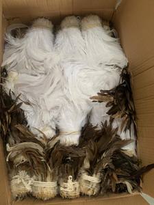 Pluma Grande de Gallo Blanco <span class=keywords><strong>para</strong></span> Manualidades, Disfraces, Sombreros, Accesorios, Fiestas, Carnaval, Decoración de Bodas - Product Image 4