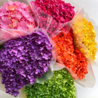Bouquet d'hortensias naturels préservés, fleurs séchées, arrangement floral pour mariage, maison, Noël, Saint-Valentin, décoration