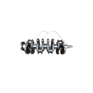 Nuevo Cigüeñal de Motor 94700102 96336263 para <span class=keywords><strong>Opel</strong></span> EVOLUTION 1.4L Astra F 1.4/<span class=keywords><strong>Corsa</strong></span> 1.4 <span class=keywords><strong>Opel</strong></span> <span class=keywords><strong>Corsa</strong></span> 1.4, Estado: Nuevo - Product Image 2