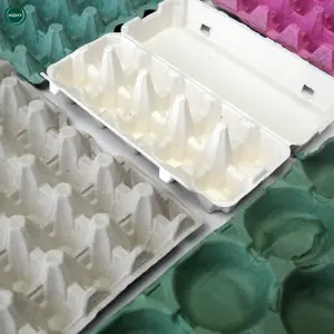 Hghy Yumurta Kutuları Karton Makineleri Kağıt Hamuru Kalıplama Geri Dönüşüm Üretim Hattı Yumurta Tepsisi Makinesi