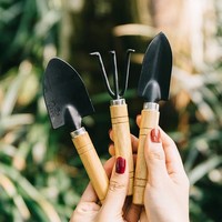 Set di 3 Mini Attrezzi da Giardino all'Ingrosso con Manico in Legno Naturale, Paletta, Vanga e Rastrello in Acciaio al Carbonio