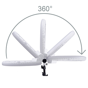2025 nouveau produit meilleure vente 8 pouces LED lumière de remplissage photographie <span class=keywords><strong>Tik</strong></span> <span class=keywords><strong>Tok</strong></span> vidéo en direct remplir anneau lumineux avec trépied - Product Image 5