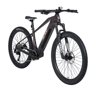 Bicicleta de Montaña JOYKIE de 29 Pulgadas, Nuevo Diseño, 250W, 36V, 15Ah, Motor Central, Frenos de Disco Hidráulicos, Pantalla TFT - Product Image 3