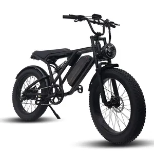 EBIKE Bicicleta elétrica com motor de acionamento por correia, com pneu gordo, bicicletas elétricas, display LCD de 24 polegadas, 48V, design de venda quente