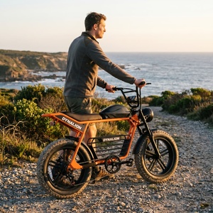 Vélo électrique à gros pneus orange vif avec phare vintage, vélo silencieux pour la randonnée en plein air et l'observation des oiseaux - Product Image 3