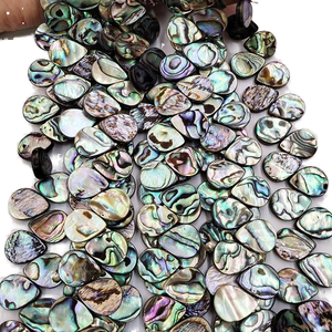 Divers plage naturel conque escargot naturel ormeau coquille pendentif coeur rond goutte d'eau minuscule cauri mer Animal perles en vrac - Product Image 1