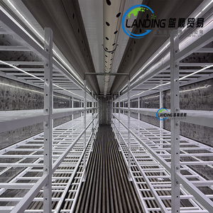 40hq cách điện trong nhà phát triển hệ thống cho nấm trang trại hydroponics container nhà kính vận chuyển Hội Nhập nông nghiệp - Product Image 3