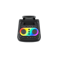 Altavoz Portátil Grande para Fiestas al Aire Libre RGB, Karaoke de Alta Potencia de 1000 W para Actividades al Aire Libre