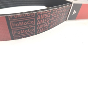 Nouvelle condition <span class=keywords><strong>courroie</strong></span> de <span class=keywords><strong>distribution</strong></span> V <span class=keywords><strong>courroie</strong></span> AM5Q-6C301EA BV2Q-6C301BA 1692105 1684909 pour <span class=keywords><strong>Ford</strong></span> Focus <span class=keywords><strong>Fiesta</strong></span> - Product Image 4