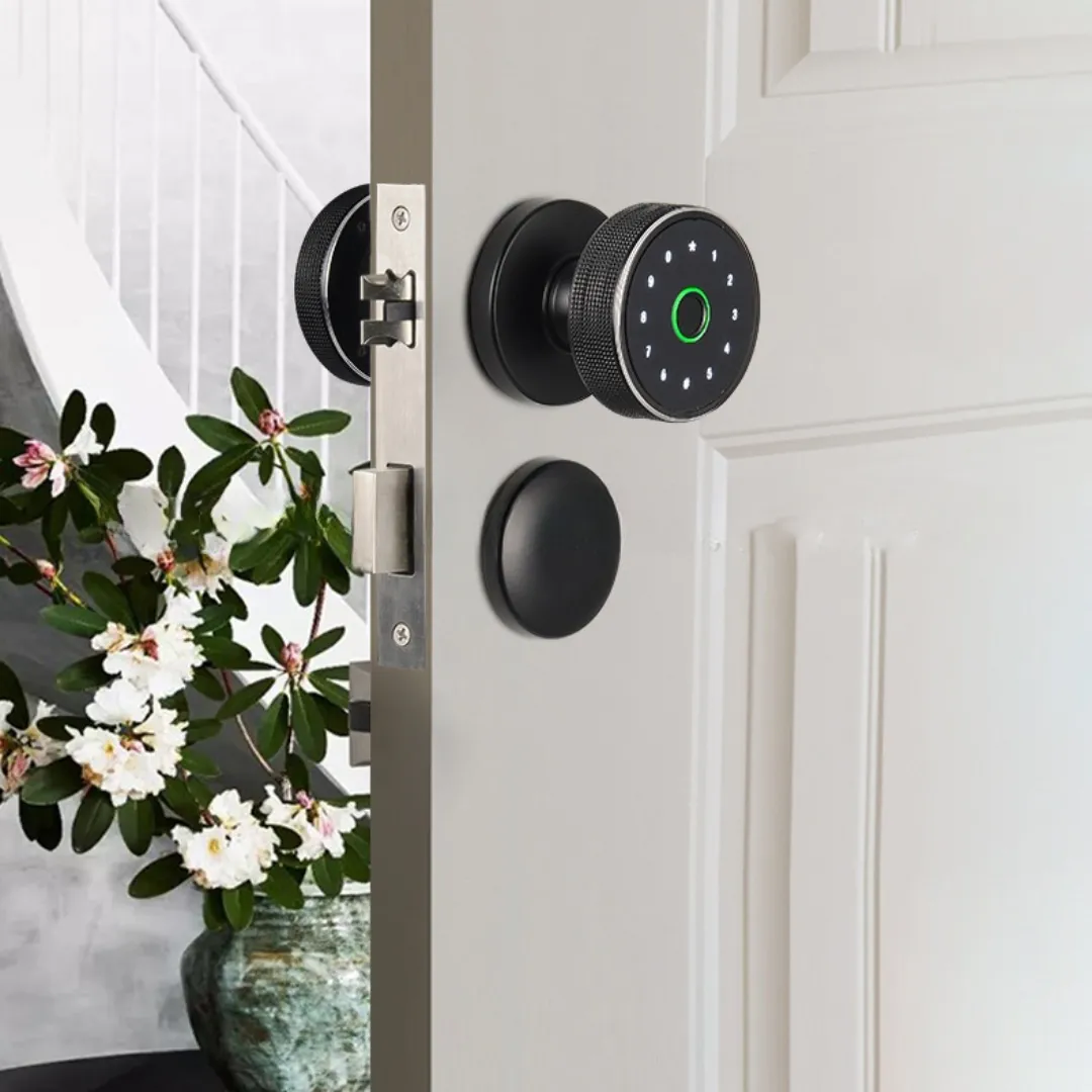 Bouton de porte intelligent au design personnalisé Serrure de porte à empreinte digitale Serrure de bouton de porte intelligente Tuya avec pour chambre à coucher