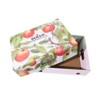 Boîte à fruits en carton auto-élevable recyclable, gaufrage, pelliculage mat, forme personnalisable, sans danger pour les aliments pour bébés, idéale pour les cadeaux et la vente au détail