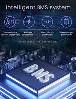 ANT BMS Smart 4S 170A 60A 110A 130A 220A 340A 400A 420A Lithium-ion, Lithium Iron Phosphate, Lithium Titanium Caractéristiques personnalisées