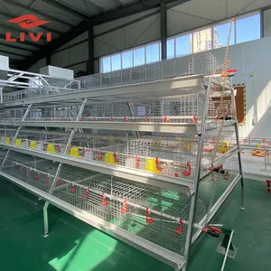 Cheap Price Battery Broiler A type Chicken Cage For Broilers And Baby Chicks